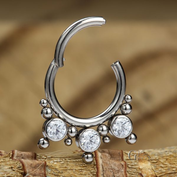 Titanium Beaded Hinged Segment Ring - Image 3