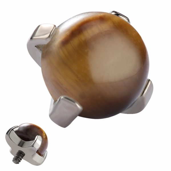 Titanium Internally Threaded Four Prong Set Tiger Eye End - Image 2