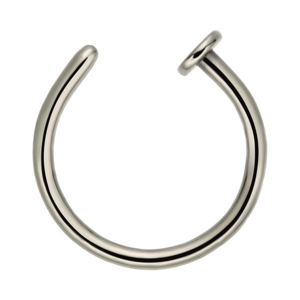Nose ring - Image 3